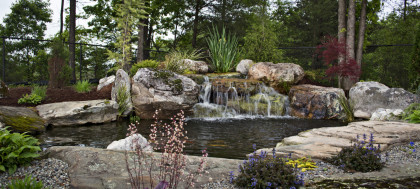 Blue Max- backyard pond & waterfall