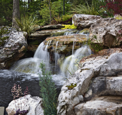 backyard pond & waterfall