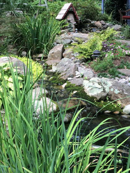 backyard waterfall and pond
