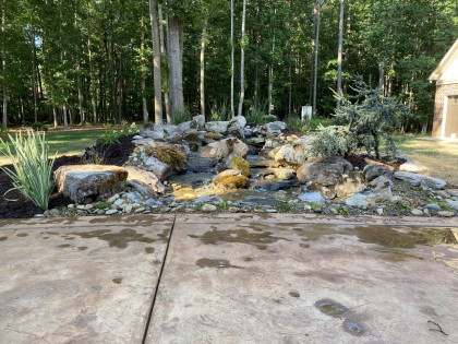 Pondless Waterfall Clover
